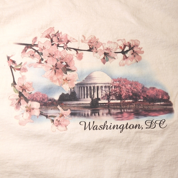Washington DC White Pink Sparkly Floral Capitol Graphic Tee Size XLarge - Picture 3 of 9